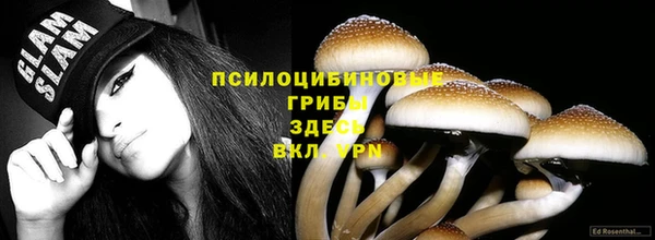 MESCALINE Баксан